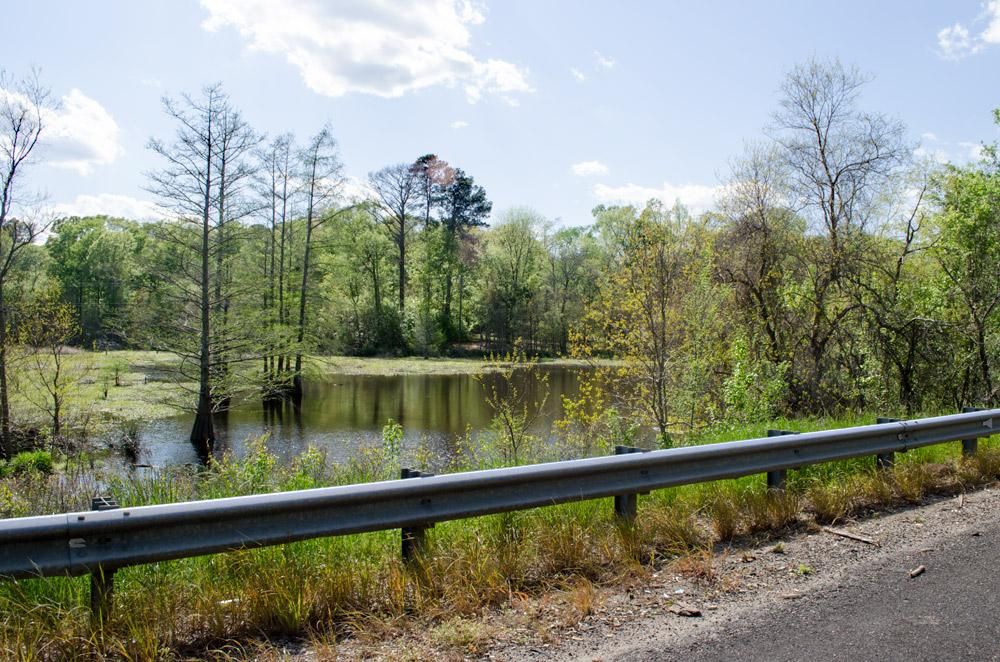Chester, Tyler County, TX Farms and Ranches for sale Property ID