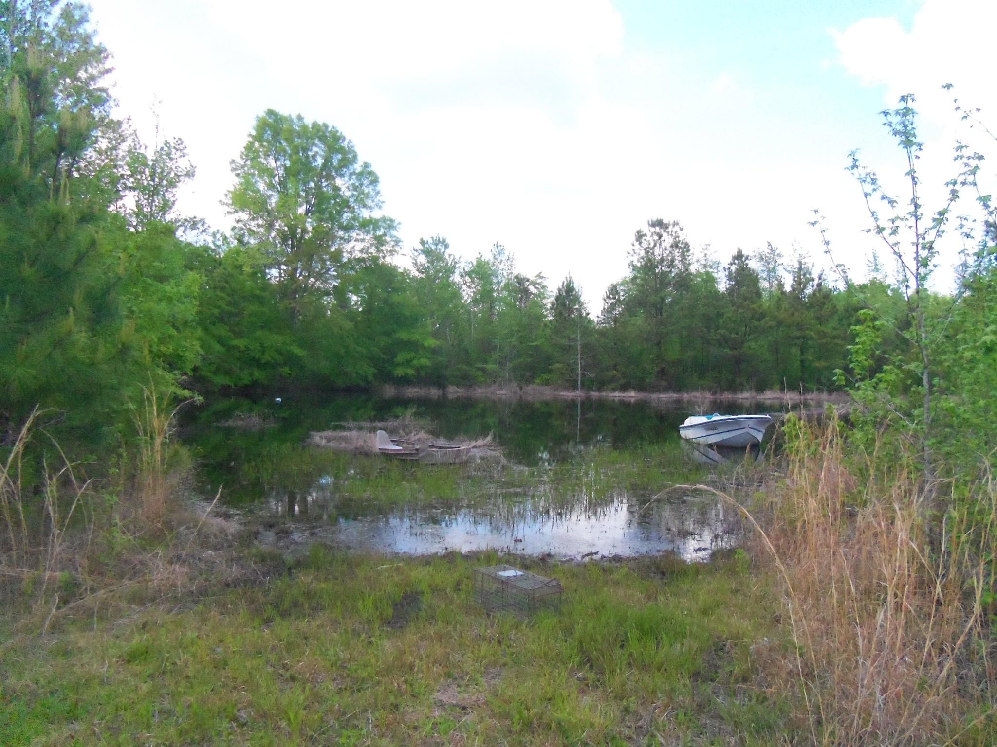Hardaway, Macon County, AL Hunting Property for sale Property ID