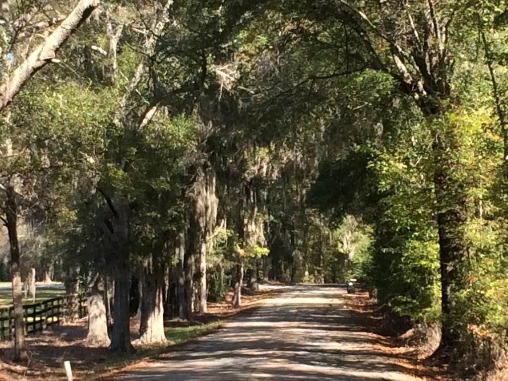 5 acres in Cecil, AL, 36013 LandWatch