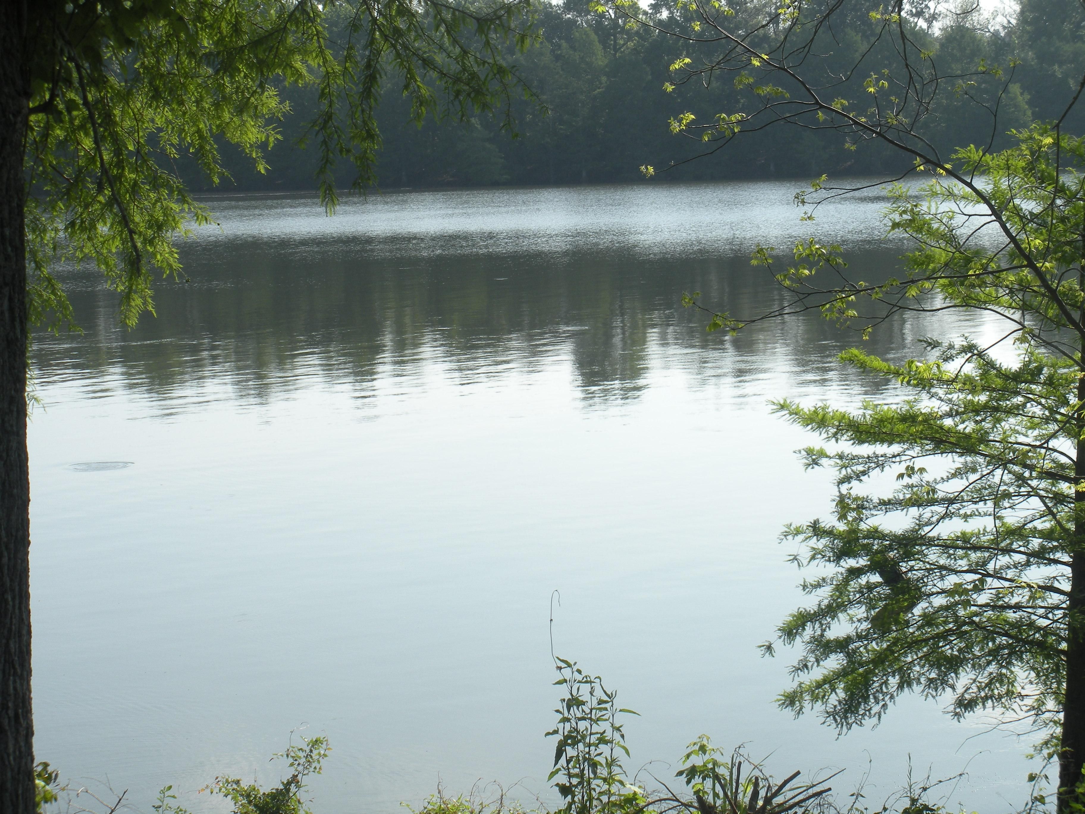 Larto, Catahoula Parish, LA Recreational Property, Lakefront Property