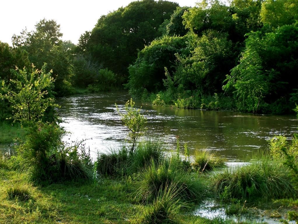 County, TX Farms and Ranches, Recreational Property