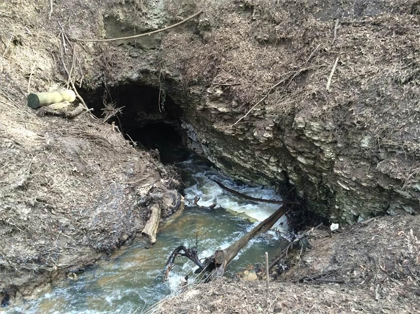 Ashburn, Turner County, GA Farms and Ranches for sale Property ID