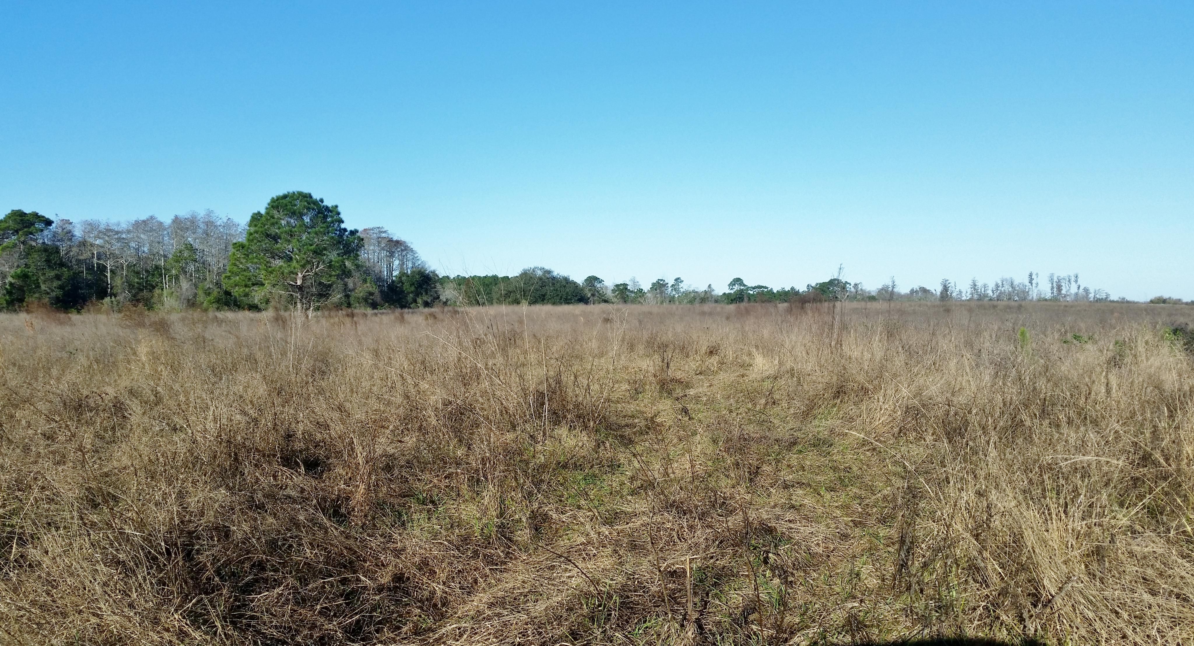 Clermont, Lake County, FL Farms and Ranches, Undeveloped Land