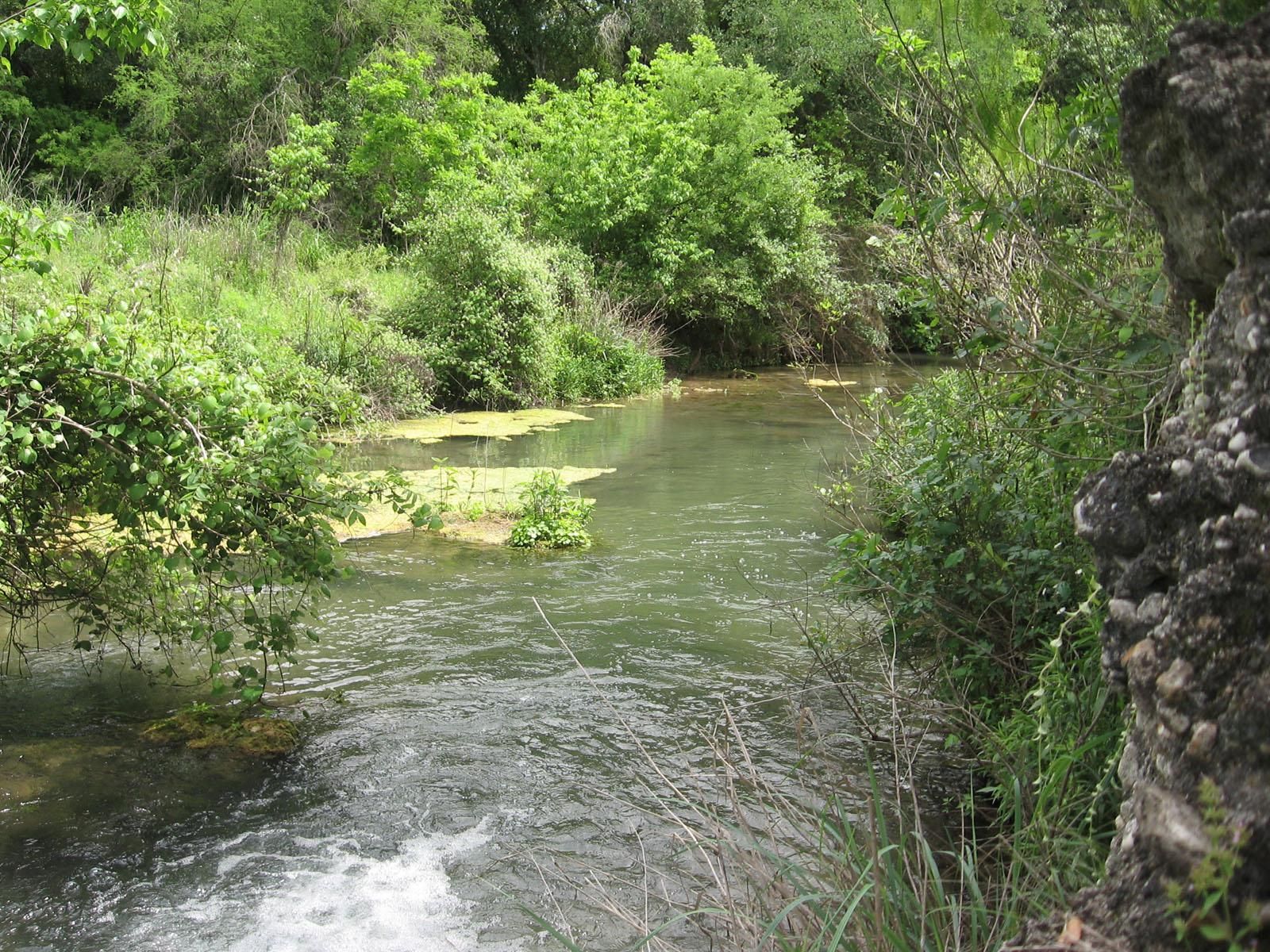 Uvalde, Uvalde County, TX Farms and Ranches, House for sale Property ID