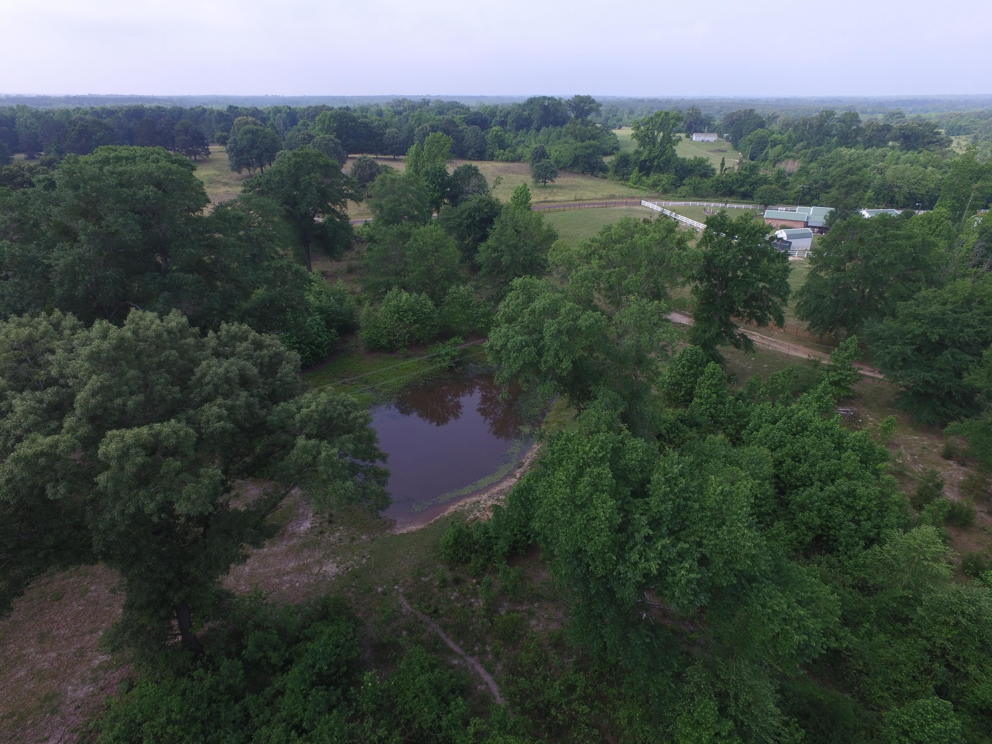 Leesburg, Camp County, TX Farms and Ranches, House for sale Property ID