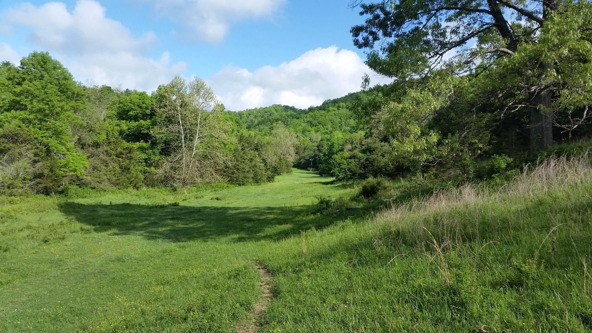 Lexington, Rockbridge County, VA Recreational Property, Hunting