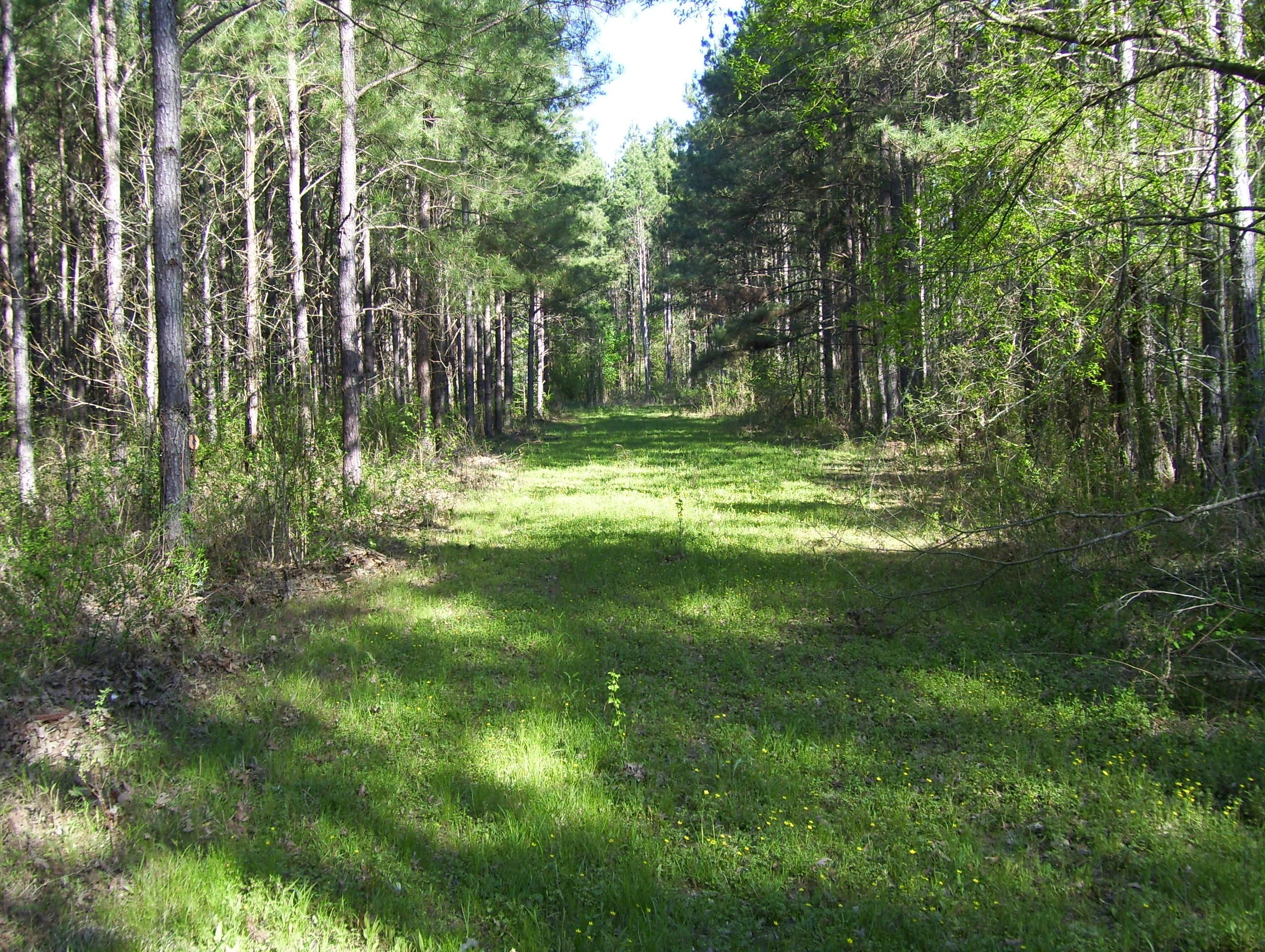 Hazlehurst, Copiah County, MS Farms and Ranches for sale Property ID 401164651 LandWatch