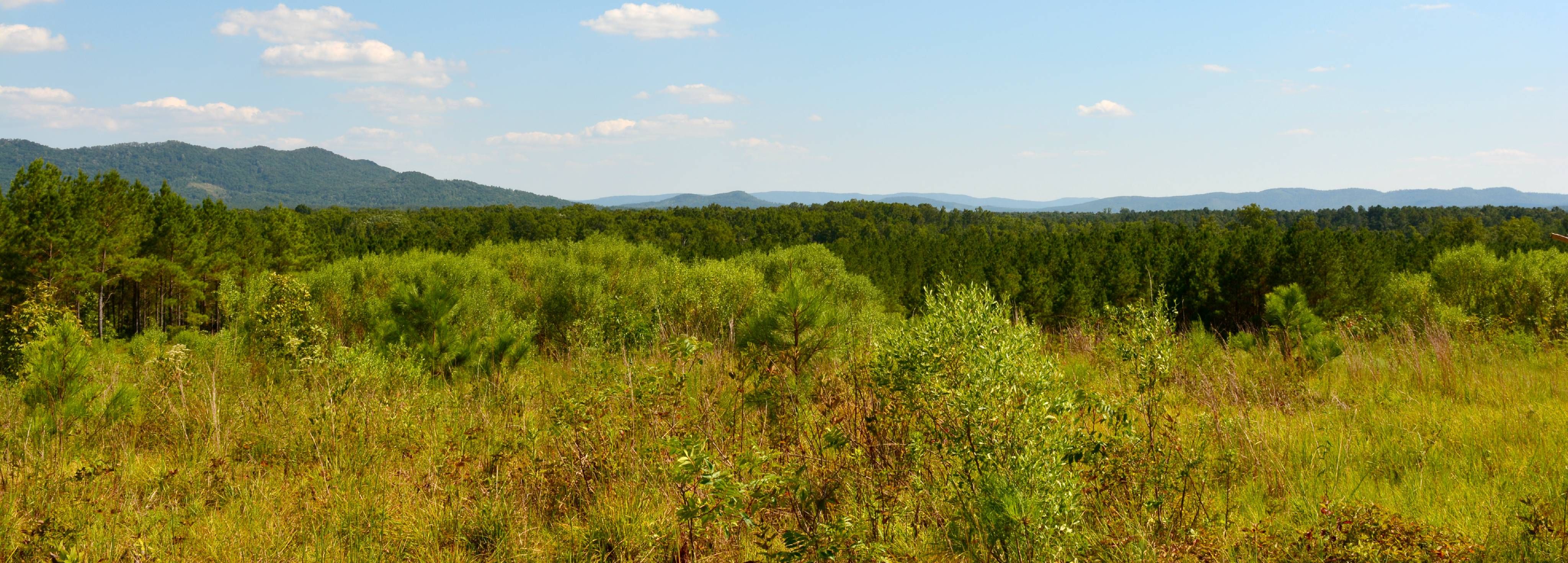 Centre, Cherokee County, AL Recreational Property, Lakefront Property