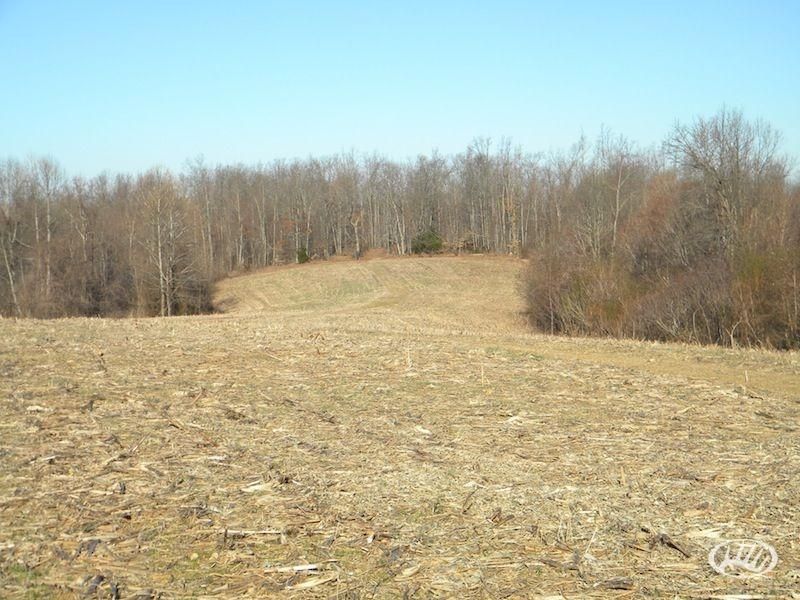 Dunnville, Adair County, KY Farms and Ranches for sale Property ID