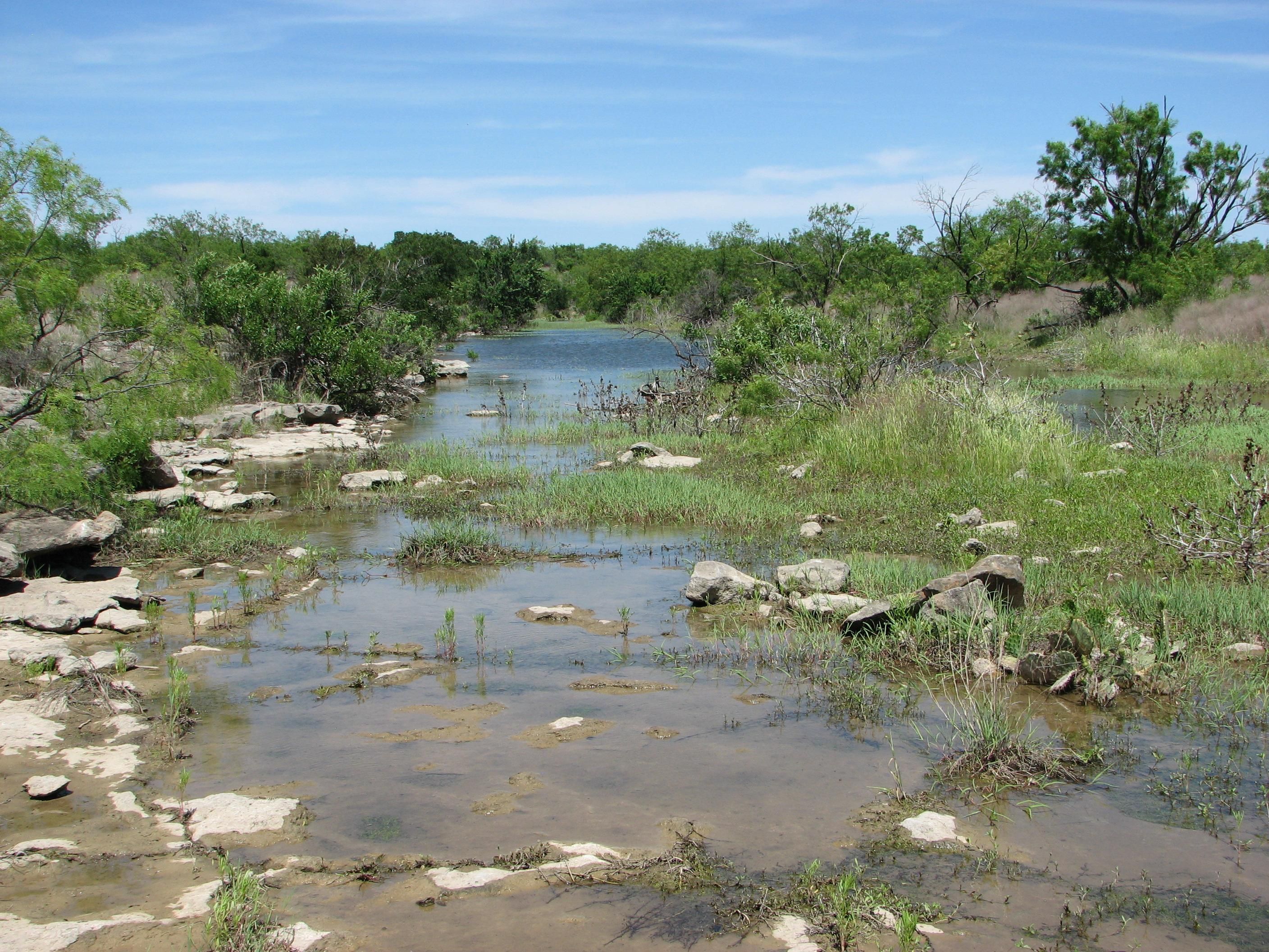 Ballinger, Runnels County, TX Hunting Property, House for sale Property
