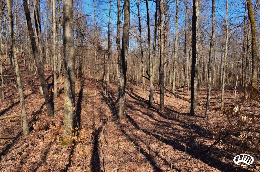 000 Grapevine Road, White Plains, KY 42464 LandWatch