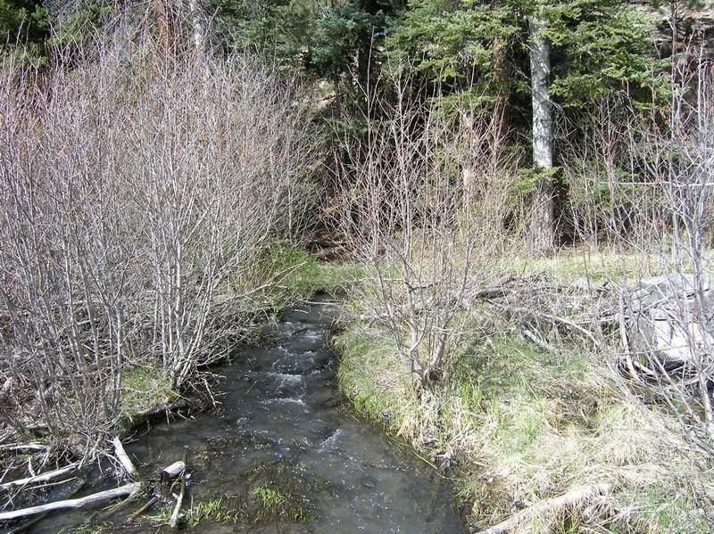 South Fork, Rio Grande County, CO Recreational Property, Riverfront