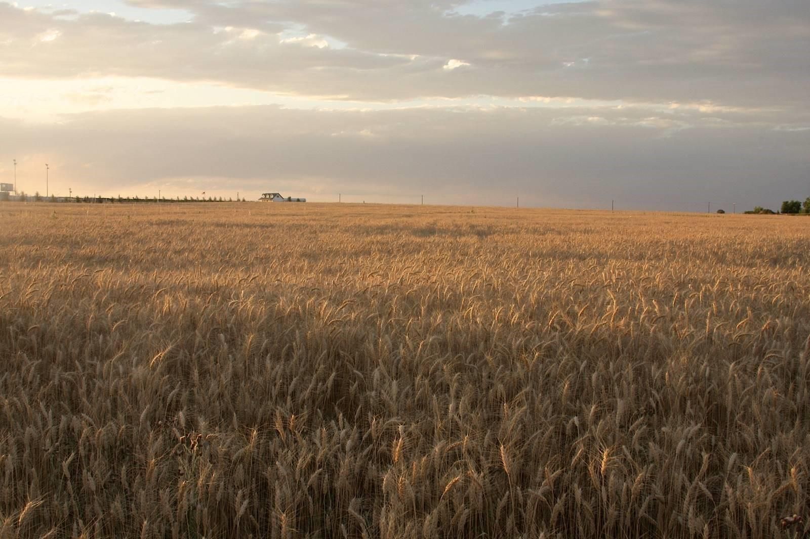 Keenesburg, Weld County, CO Farms and Ranches for sale Property ID