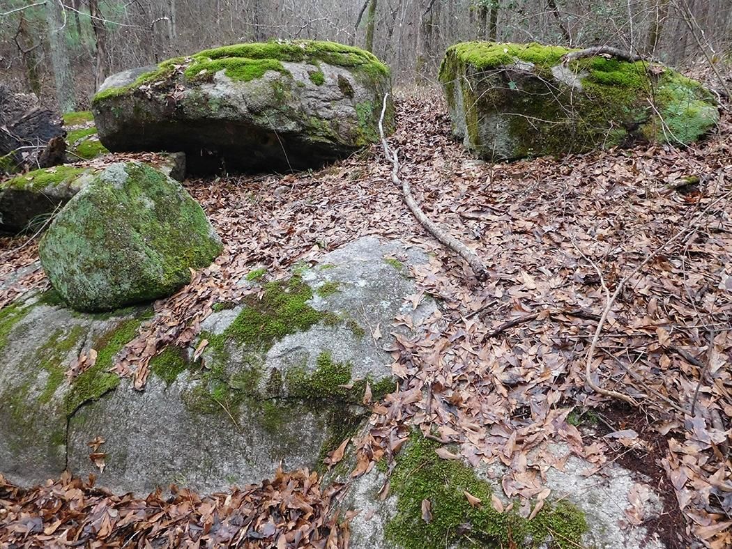 Norwood, Warren County, GA Recreational Property, Timberland Property