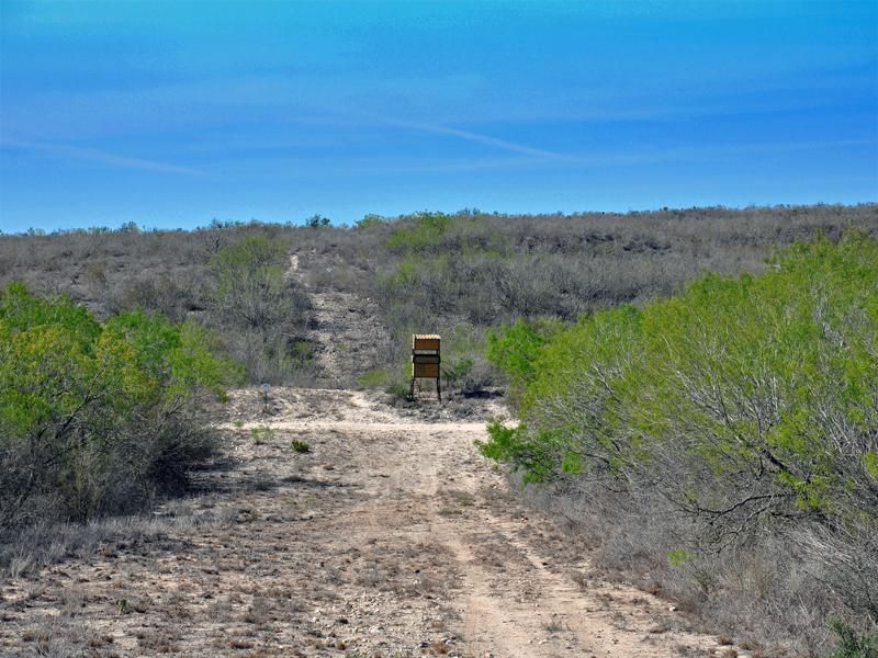 Hebbronville, Jim Hogg County, TX Farms and Ranches for sale Property
