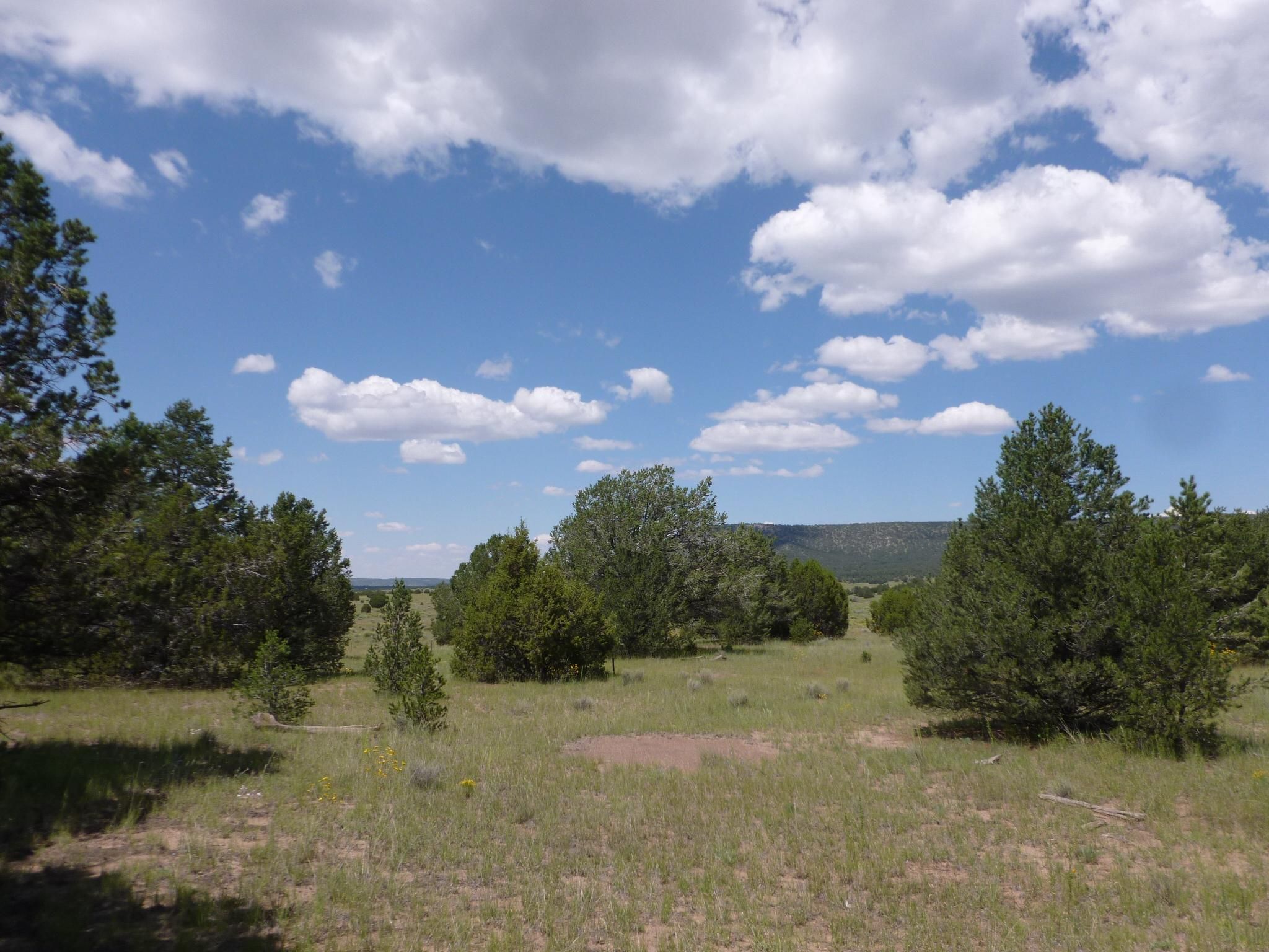 Quemado, Catron County, NM Farms and Ranches for sale Property ID