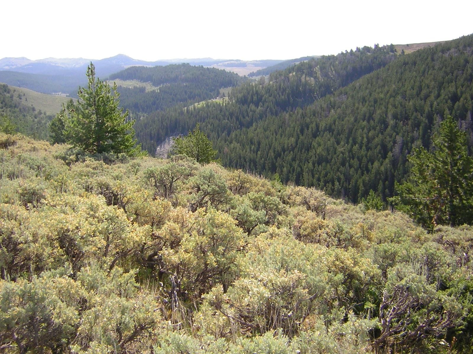 Shell, Big Horn County, WY Farms and Ranches for sale Property ID 400614159 LandWatch