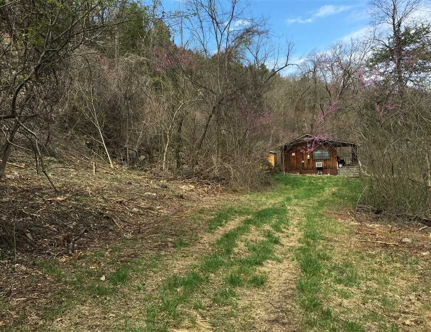 Snowball, Searcy County, AR Farms and Ranches, House for sale Property