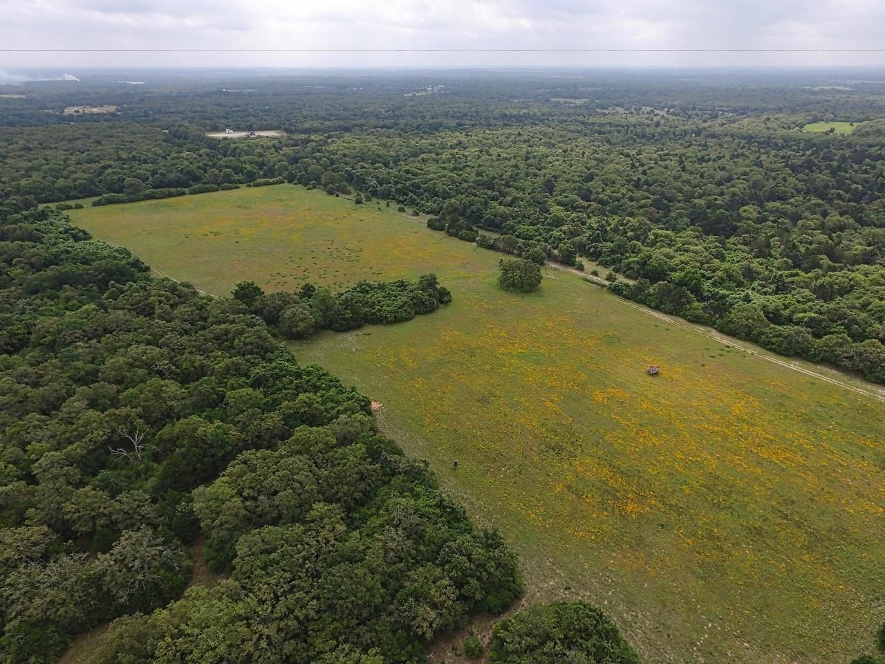 Caldwell, Burleson County, TX Recreational Property, Undeveloped Land