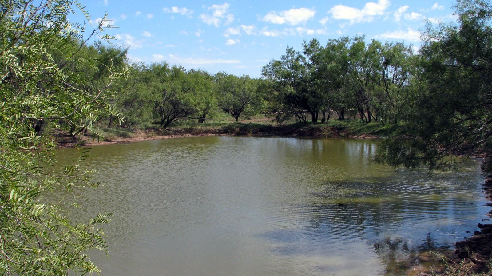 883 County Road 261, McCaulley, TX 79534 LandWatch