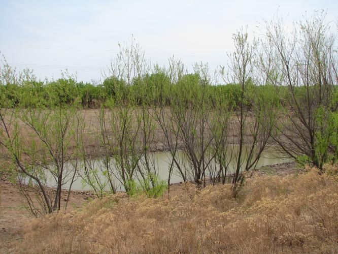 Lueders, Jones County, TX Farms and Ranches for sale Property ID