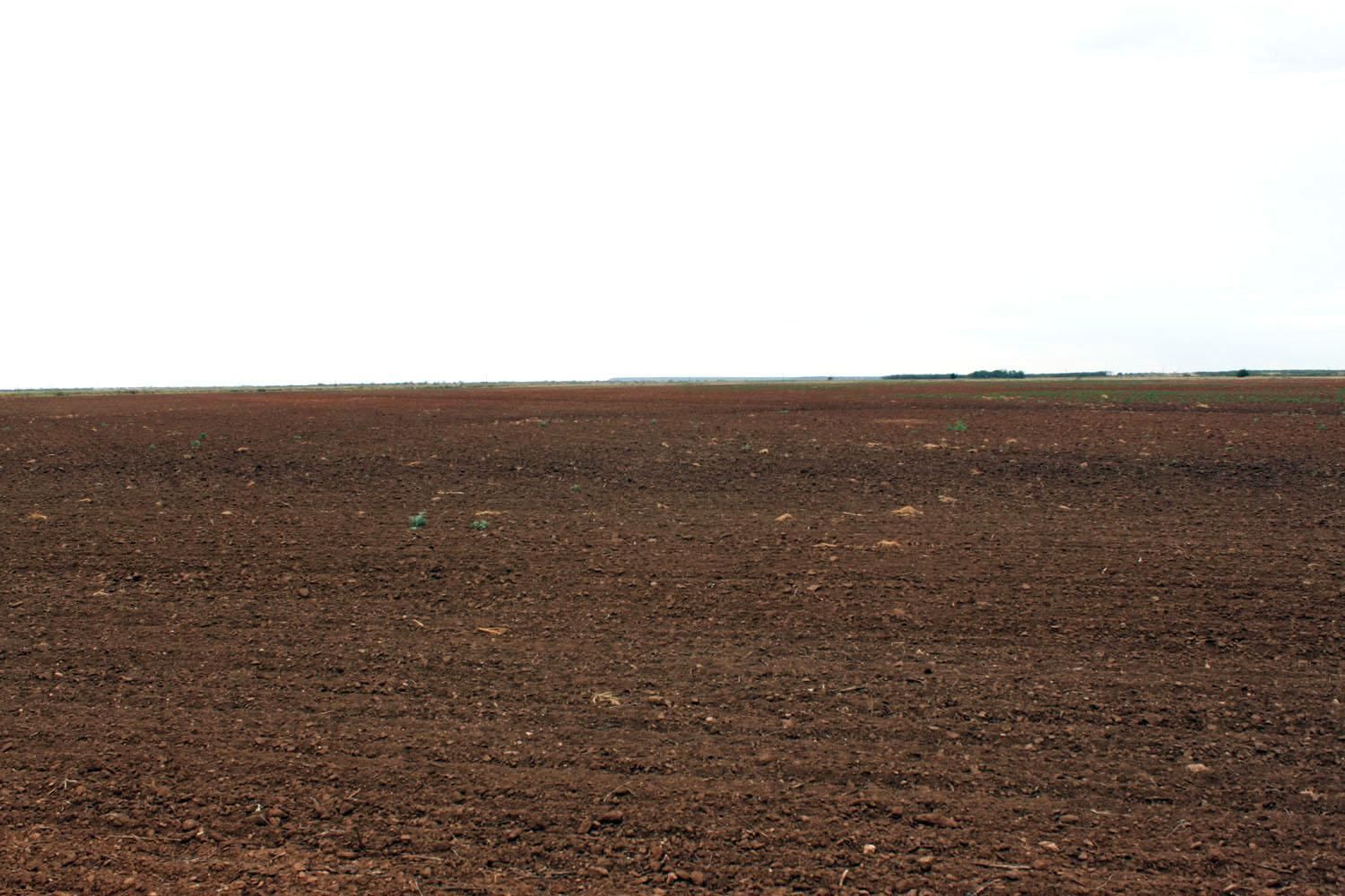 Old Glory, Stonewall County, TX Farms and Ranches for sale Property ID