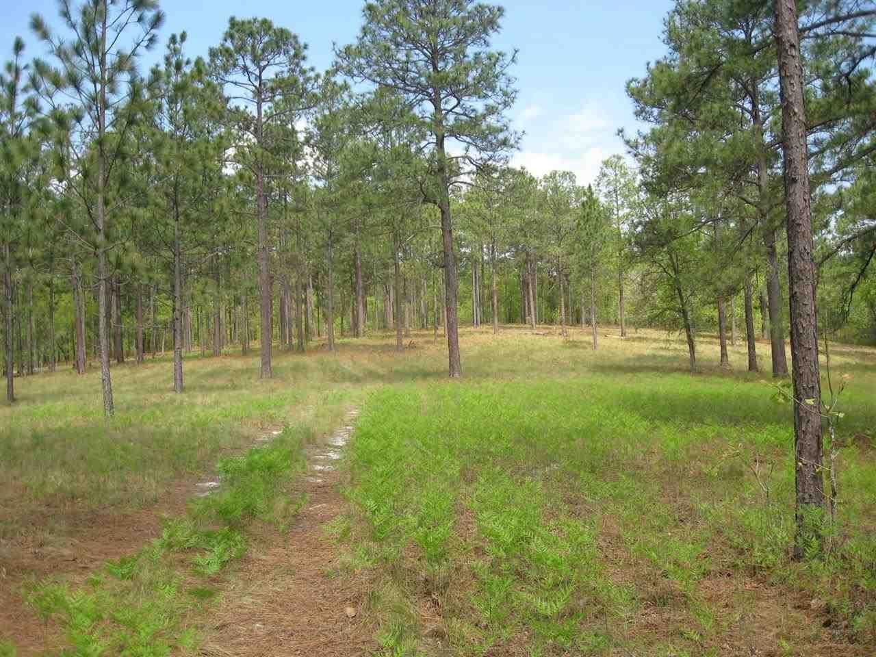 Southern Pines, Moore County, NC Farms and Ranches for sale Property ID