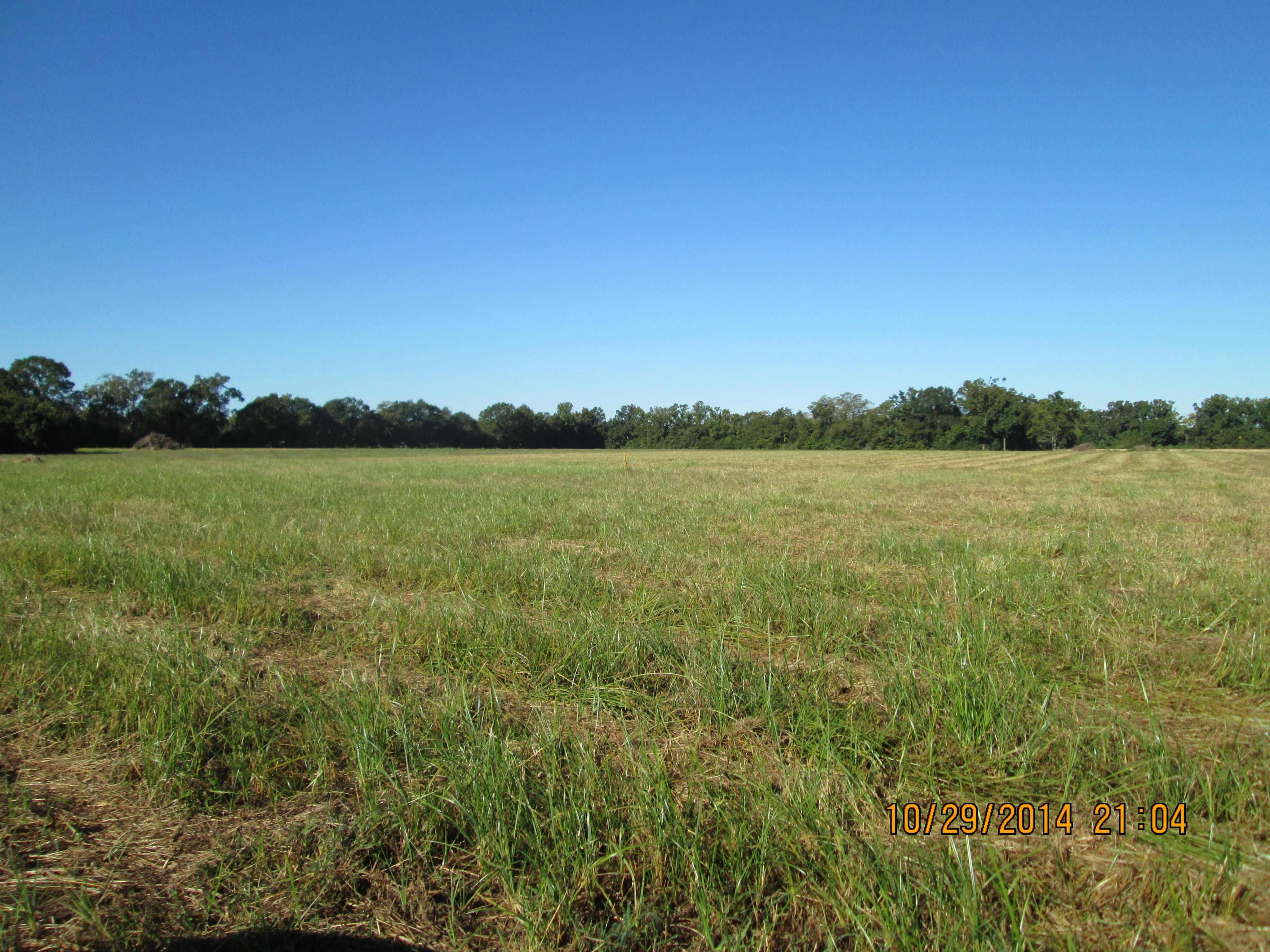 Hessmer, Avoyelles Parish, LA Farms and Ranches for sale Property ID