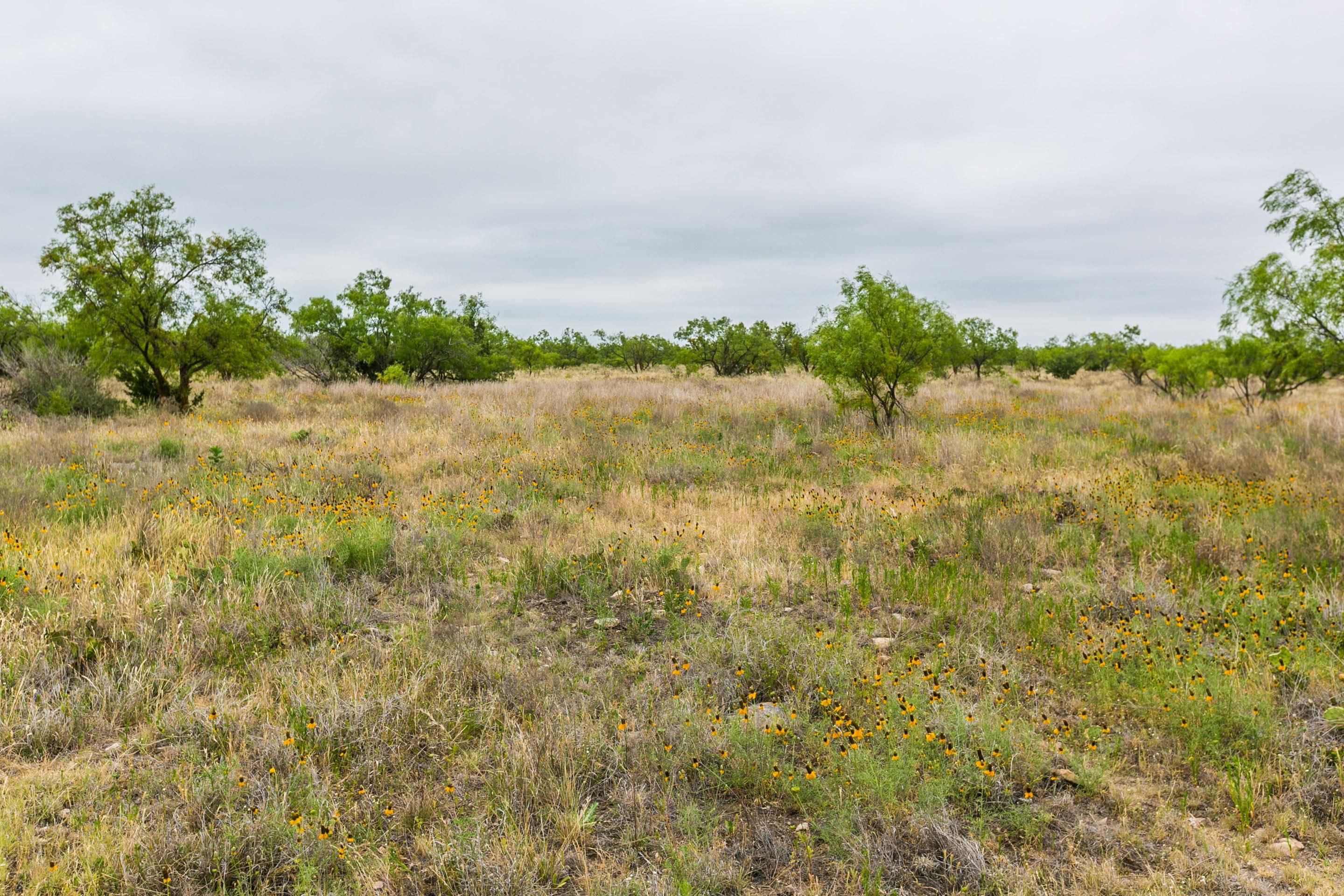 Eldorado, Schleicher County, TX Farms and Ranches for sale Property ID