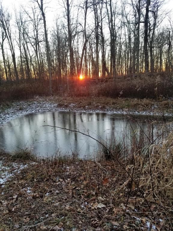 Talcott, Summers County, WV for sale Property ID 3317753 LandWatch