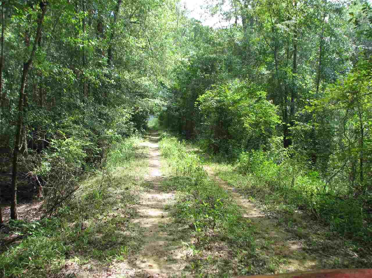 Midway, Gadsden County, FL Undeveloped Land, Lakefront Property
