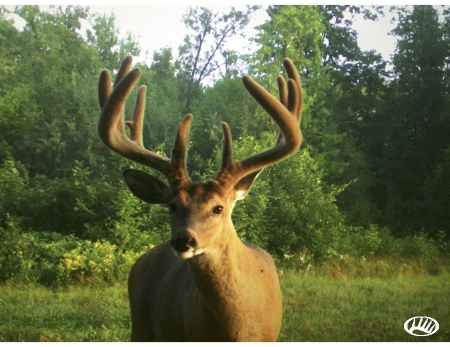 Onamia, Mille Lacs County, MN Farms and Ranches for sale Property ID
