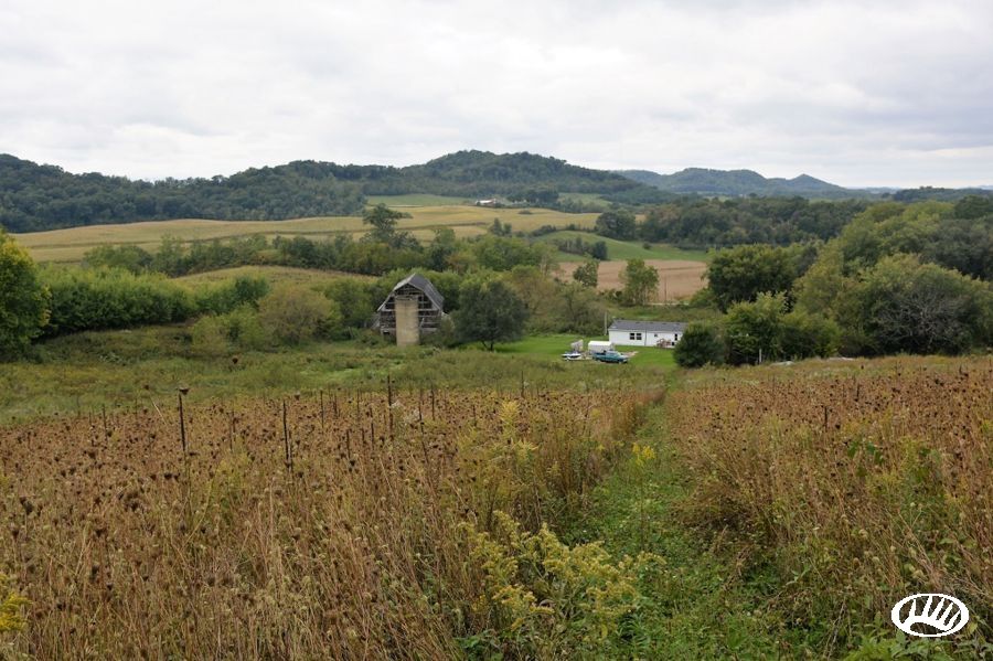 5512 County BB, Mondovi, WI 54755 LandWatch