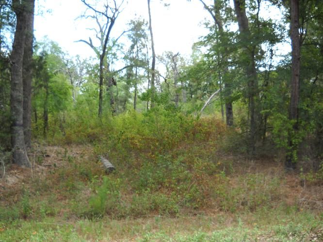 Waller, Grimes County, TX Farms and Ranches for sale Property ID 400441700 LandWatch