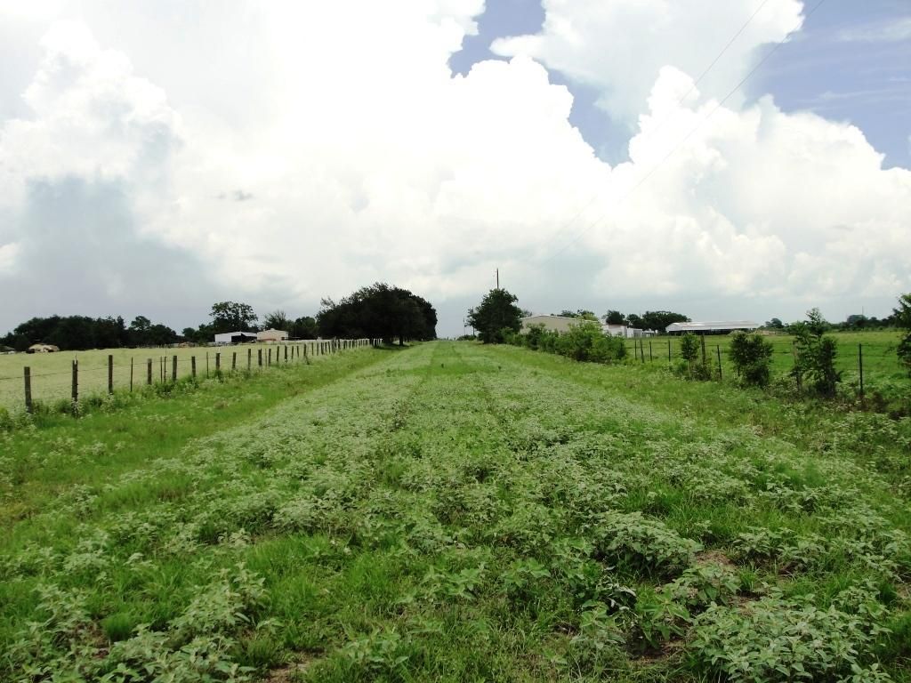 Hempstead, Waller County, TX Farms and Ranches for sale Property ID