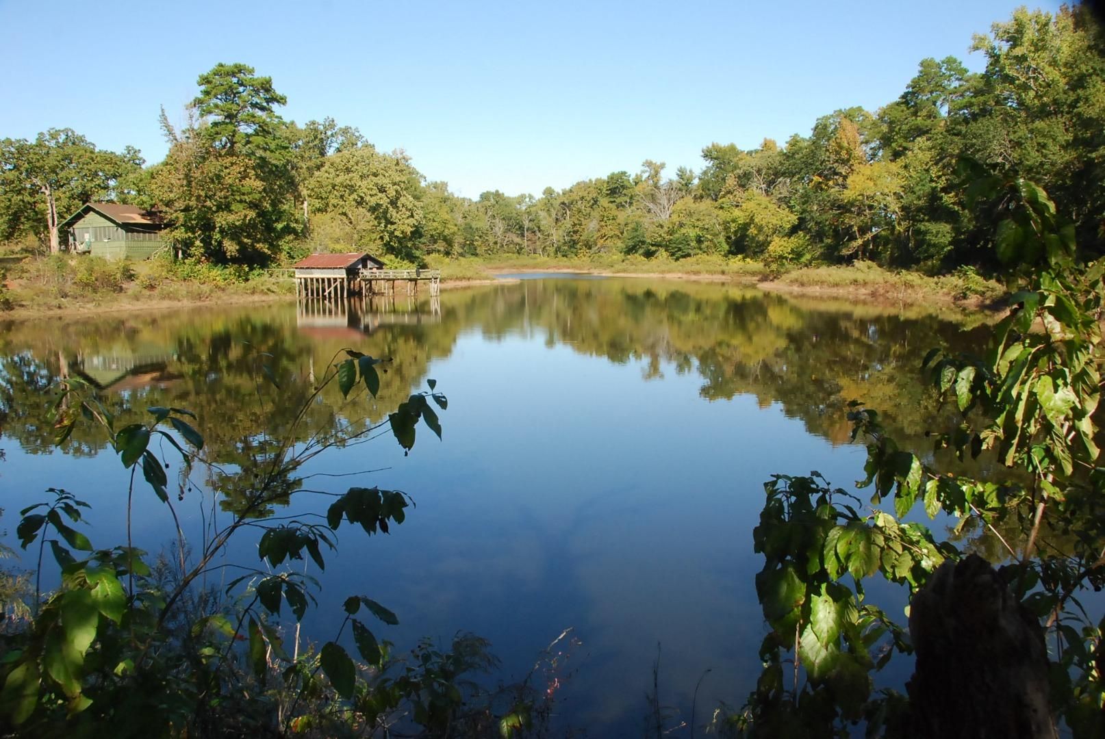 Mineola, Wood County, TX Farms and Ranches for sale Property ID