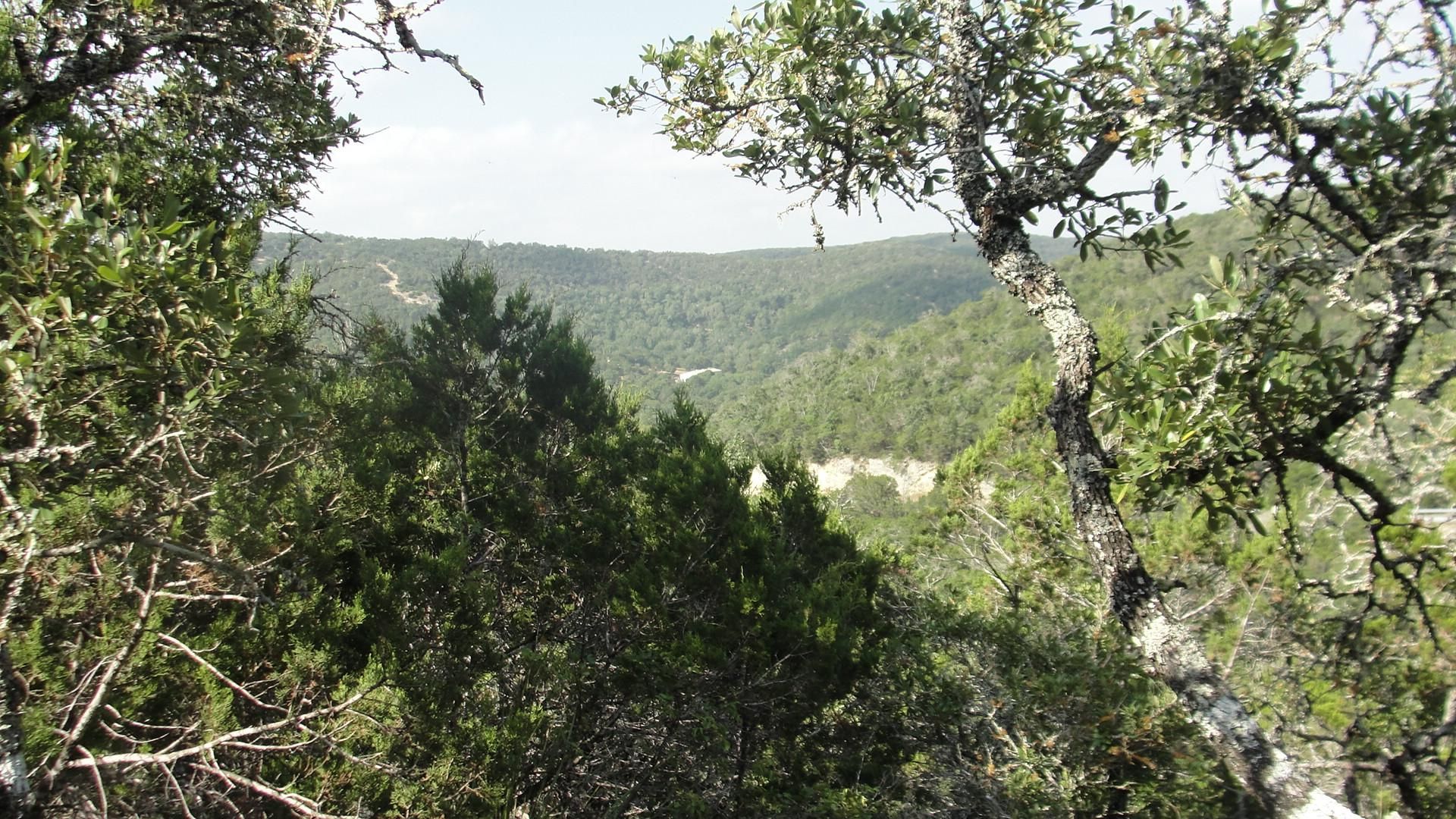 Tarpley, Bandera County, TX Farms and Ranches, House for sale Property