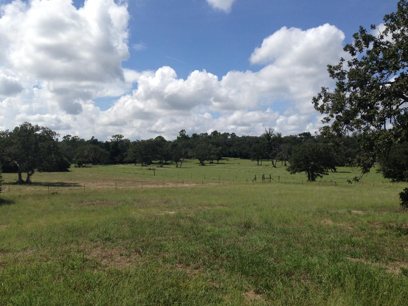 Centerville, Leon County, TX Farms and Ranches for sale Property ID