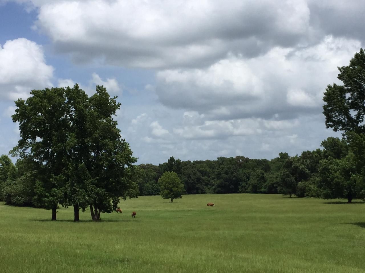 Leona, Leon County, TX Farms and Ranches, House for sale Property ID