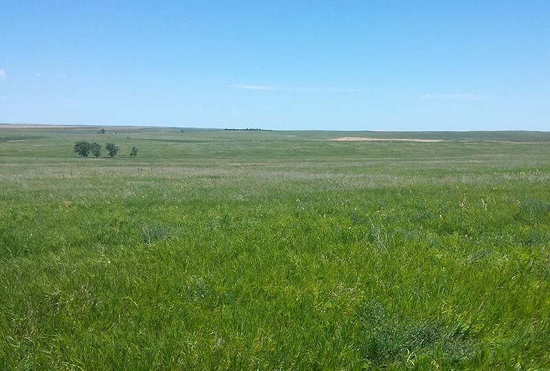 320 acres in Murdo, SD, 57559 LandWatch