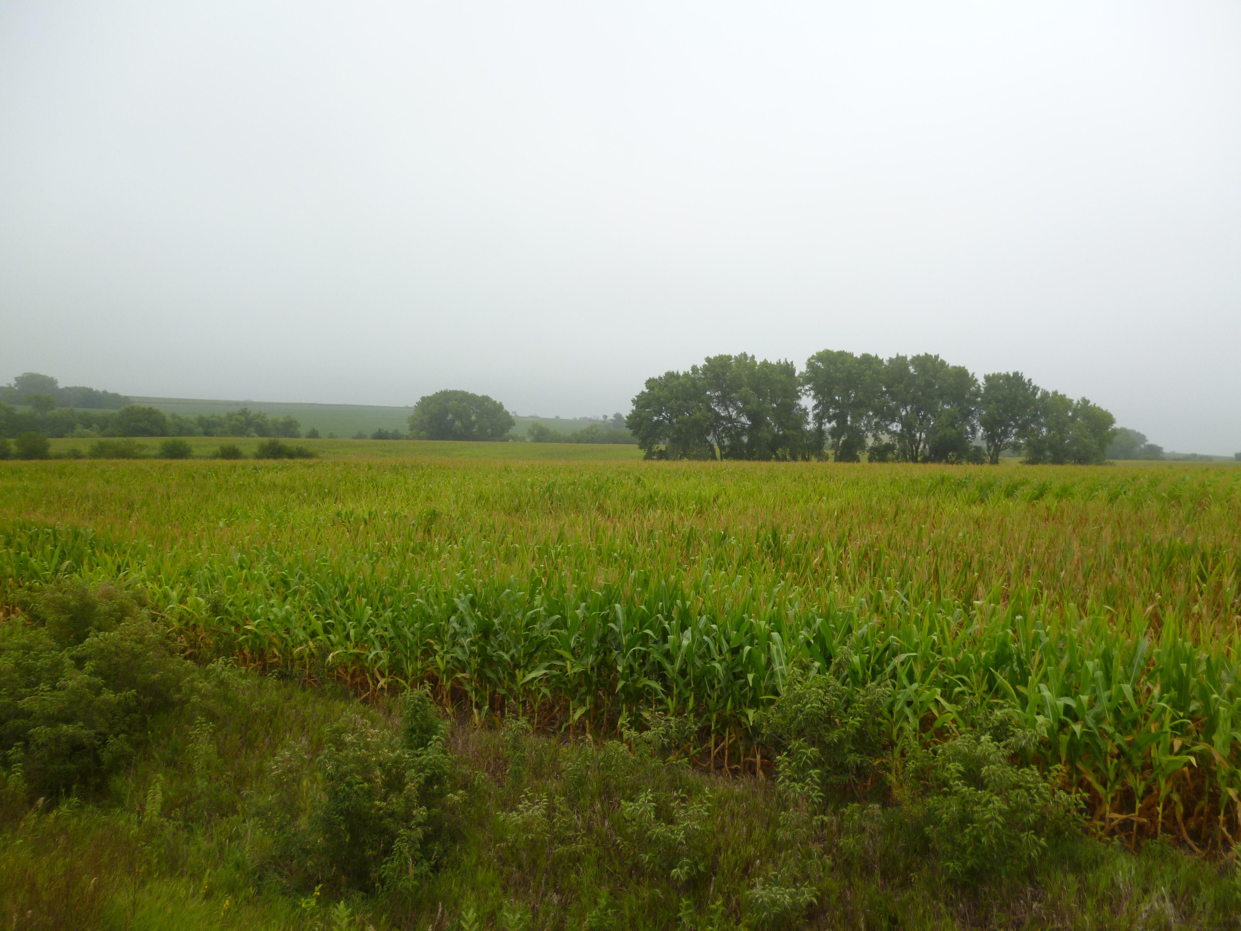 Crete, Saline County, NE Farms and Ranches for sale Property ID 401496138 LandWatch