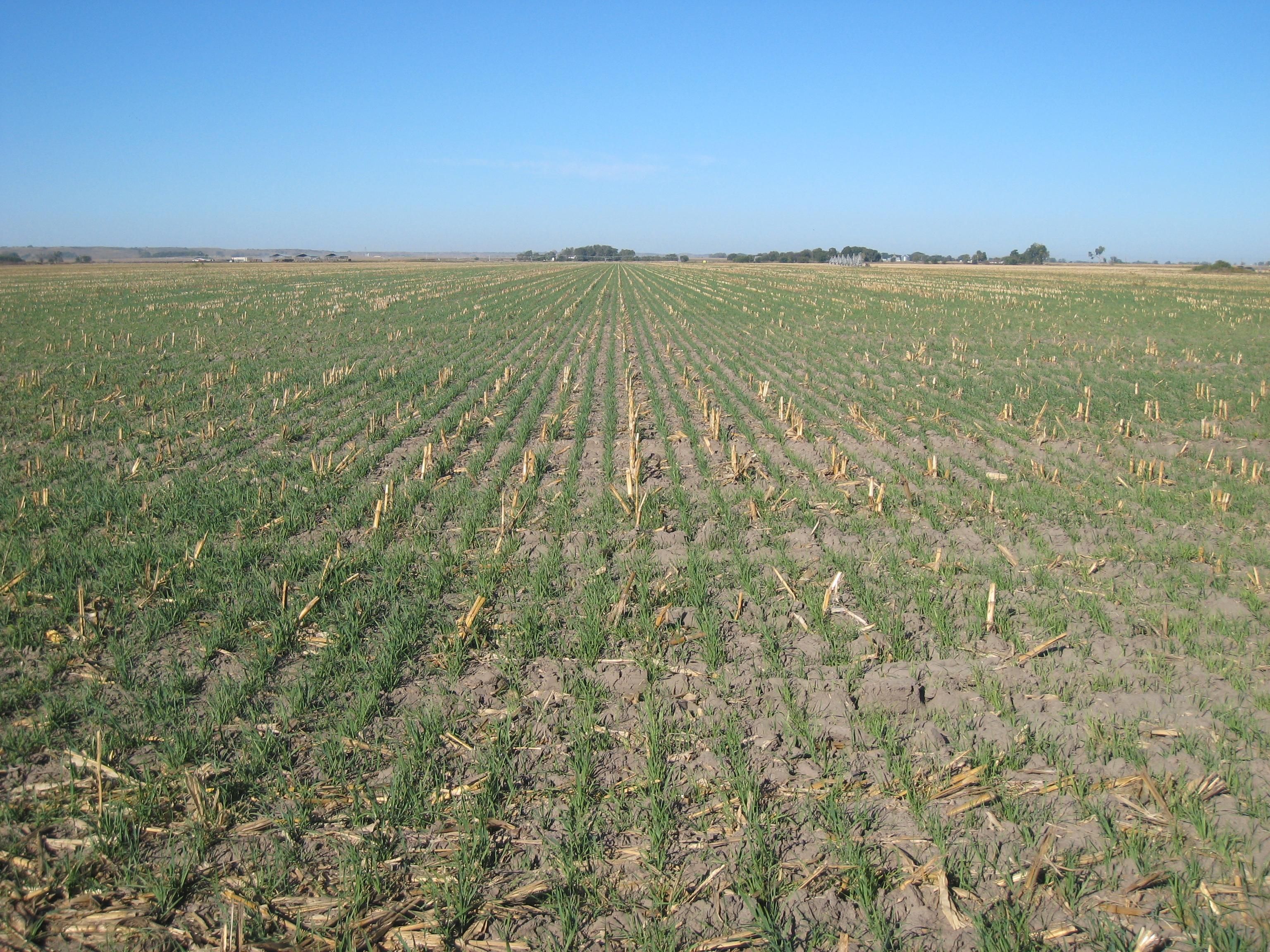 Lexington, Dawson County, NE Farms and Ranches for sale Property ID