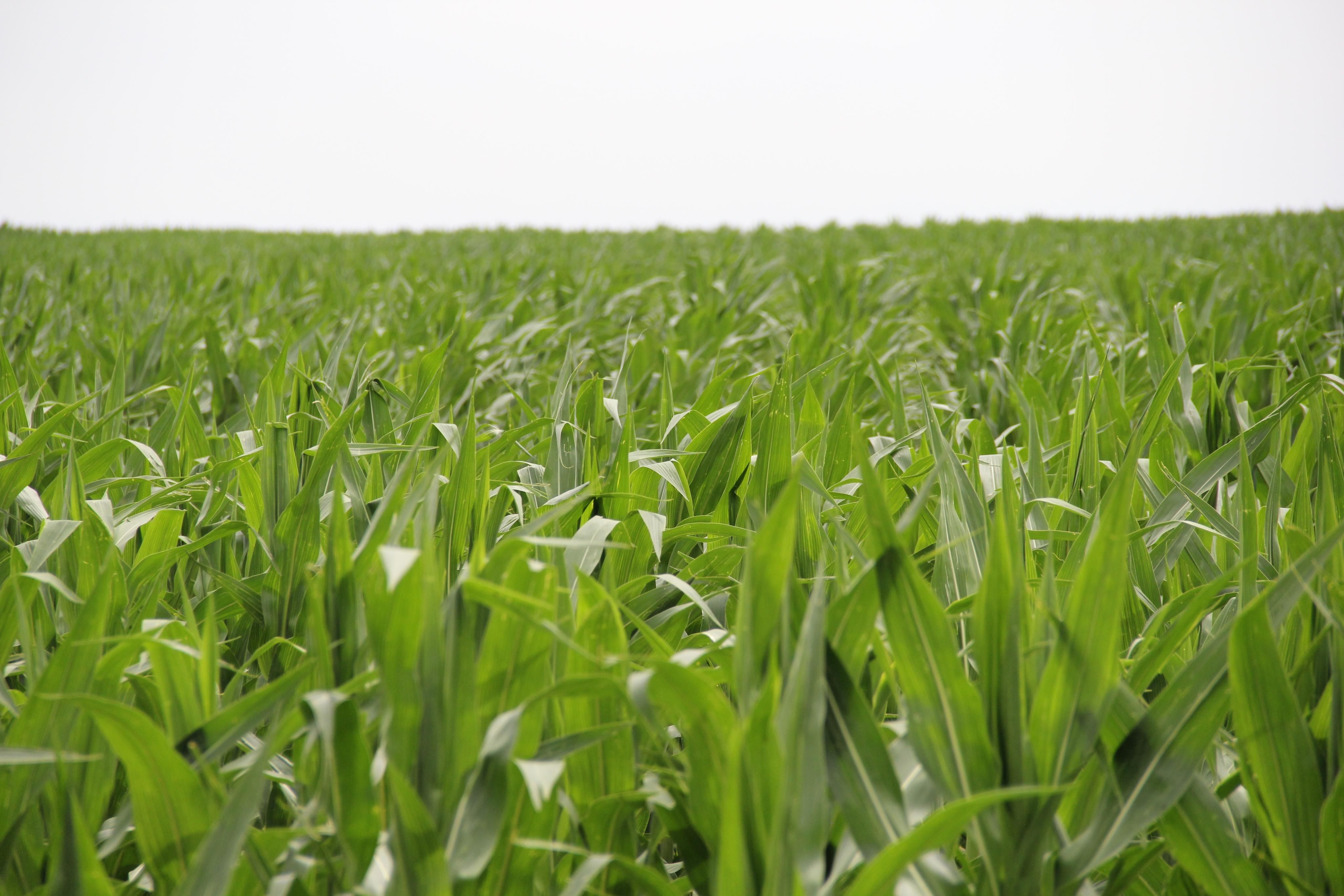 282 acres in Mccook, NE, 69001 LandWatch