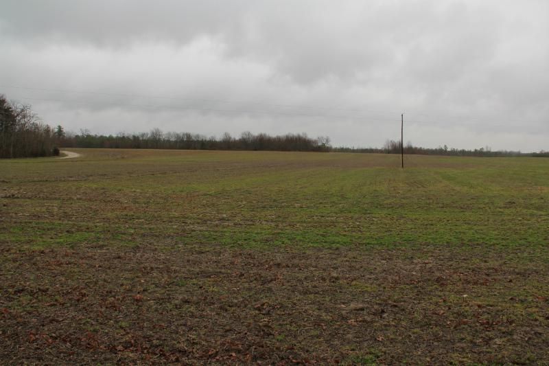 Newtown, King and Queen County, VA Farms and Ranches for sale Property