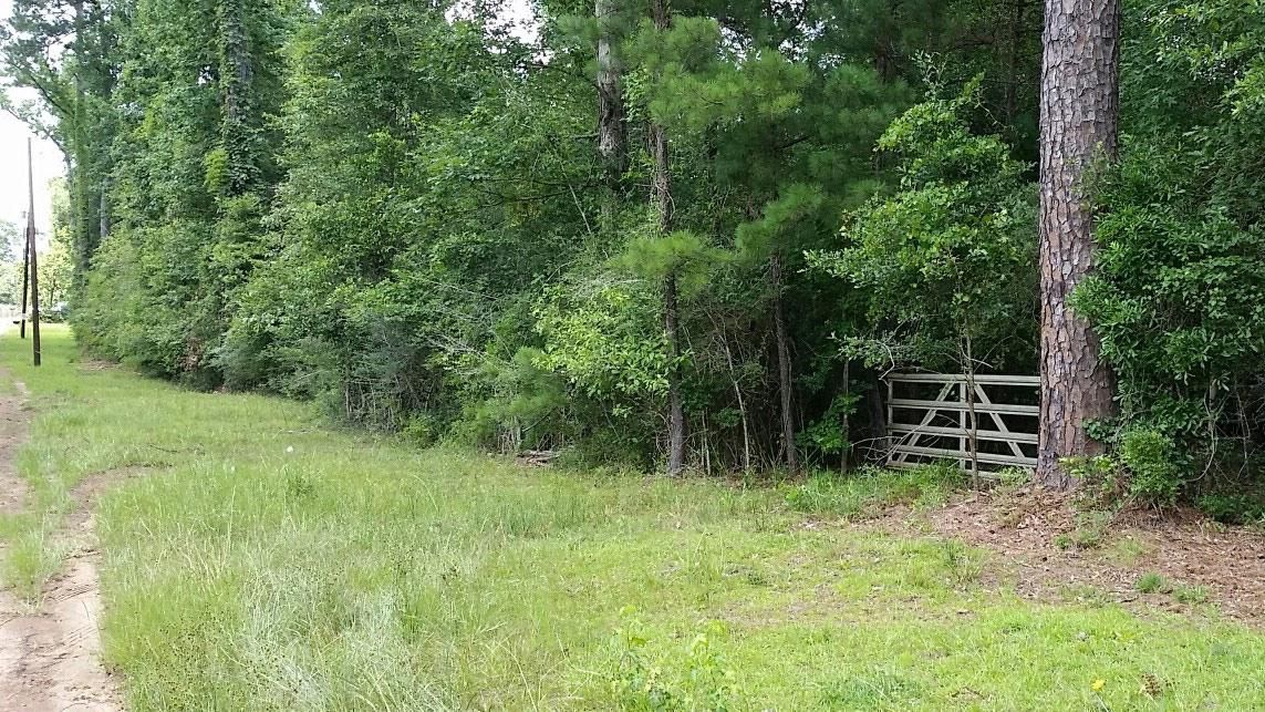 Hillister, Tyler County, TX Farms and Ranches for sale Property ID