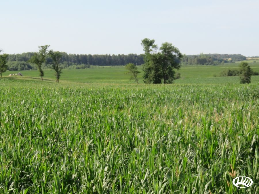 Ulen, Clay County, MN Farms and Ranches for sale Property ID 402820062