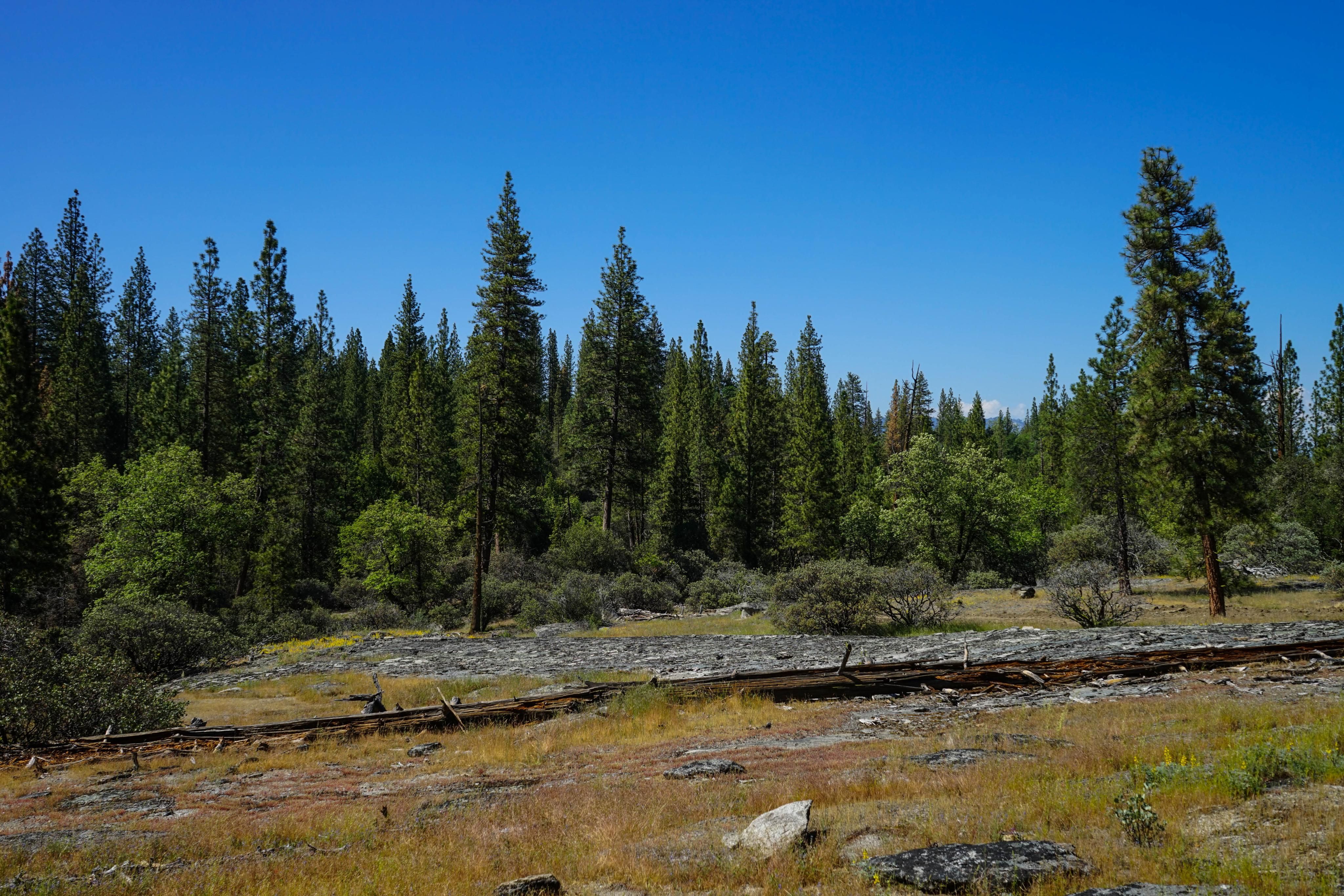 160 acres in Auberry, CA, 93602 LandWatch