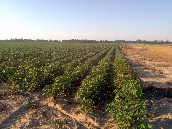 Tunica, Tunica County, MS Farms and Ranches for sale Property ID