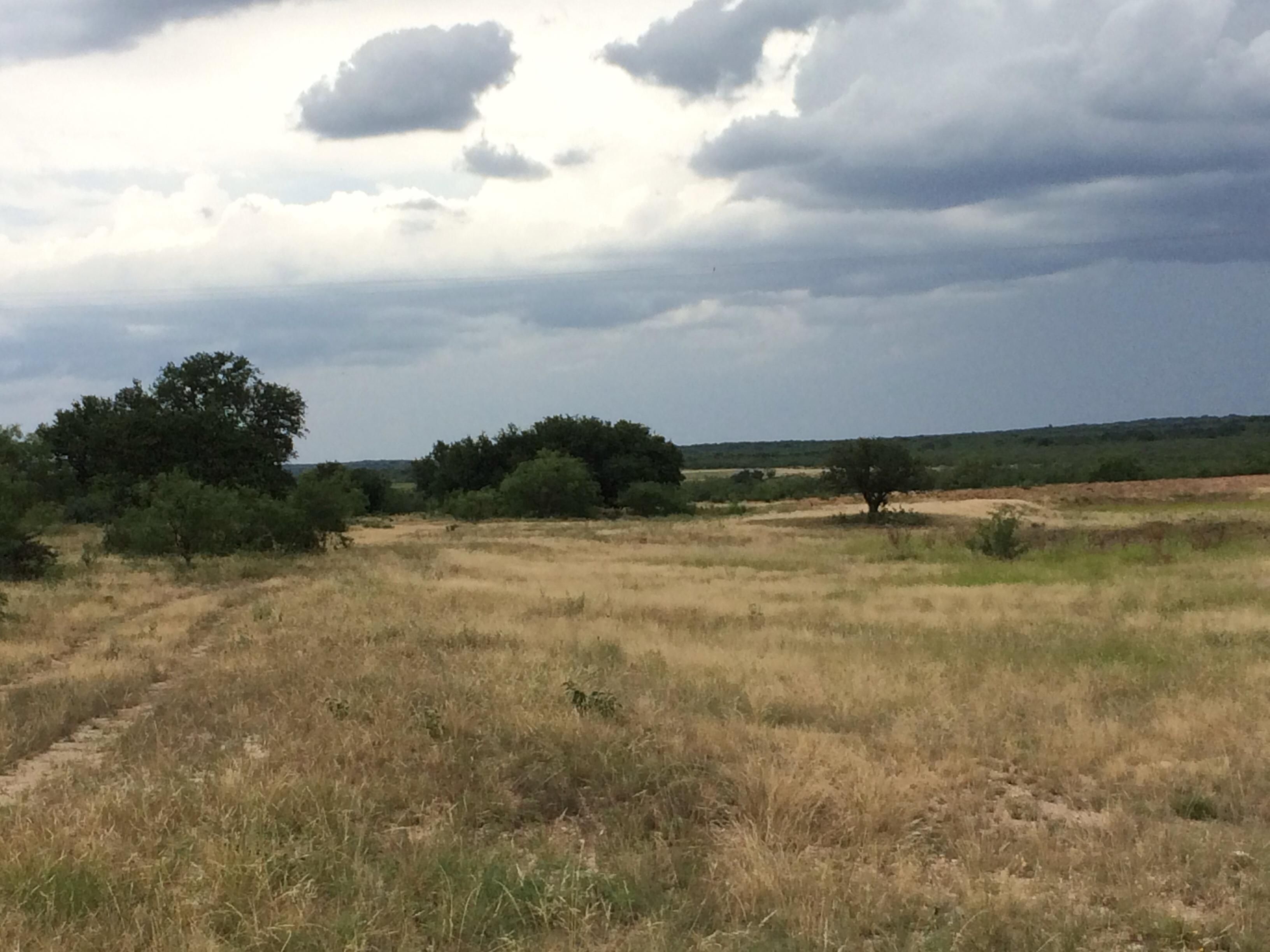 Menard, Menard County, TX Farms and Ranches for sale Property ID