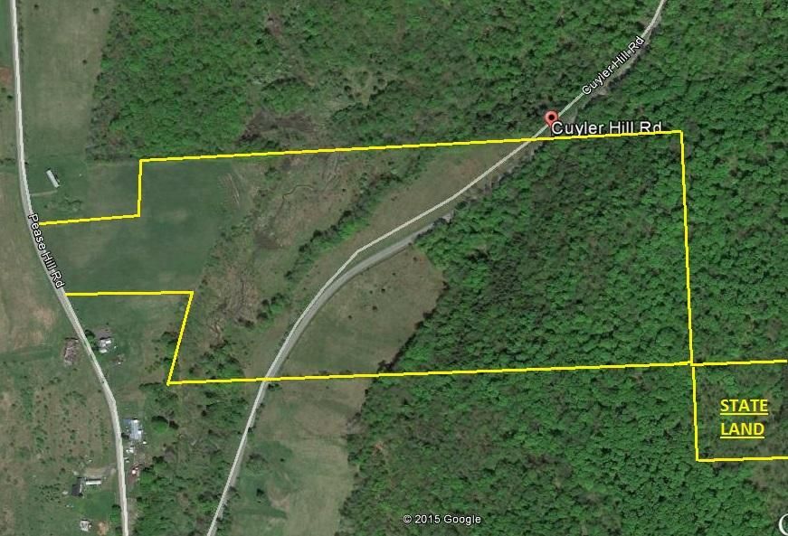 Cuyler Hill Road, Cuyler, NY 13158 LandWatch